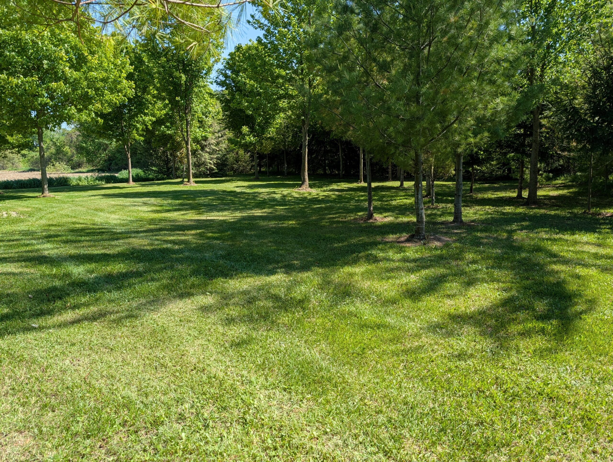 PXL_20260529_195853997