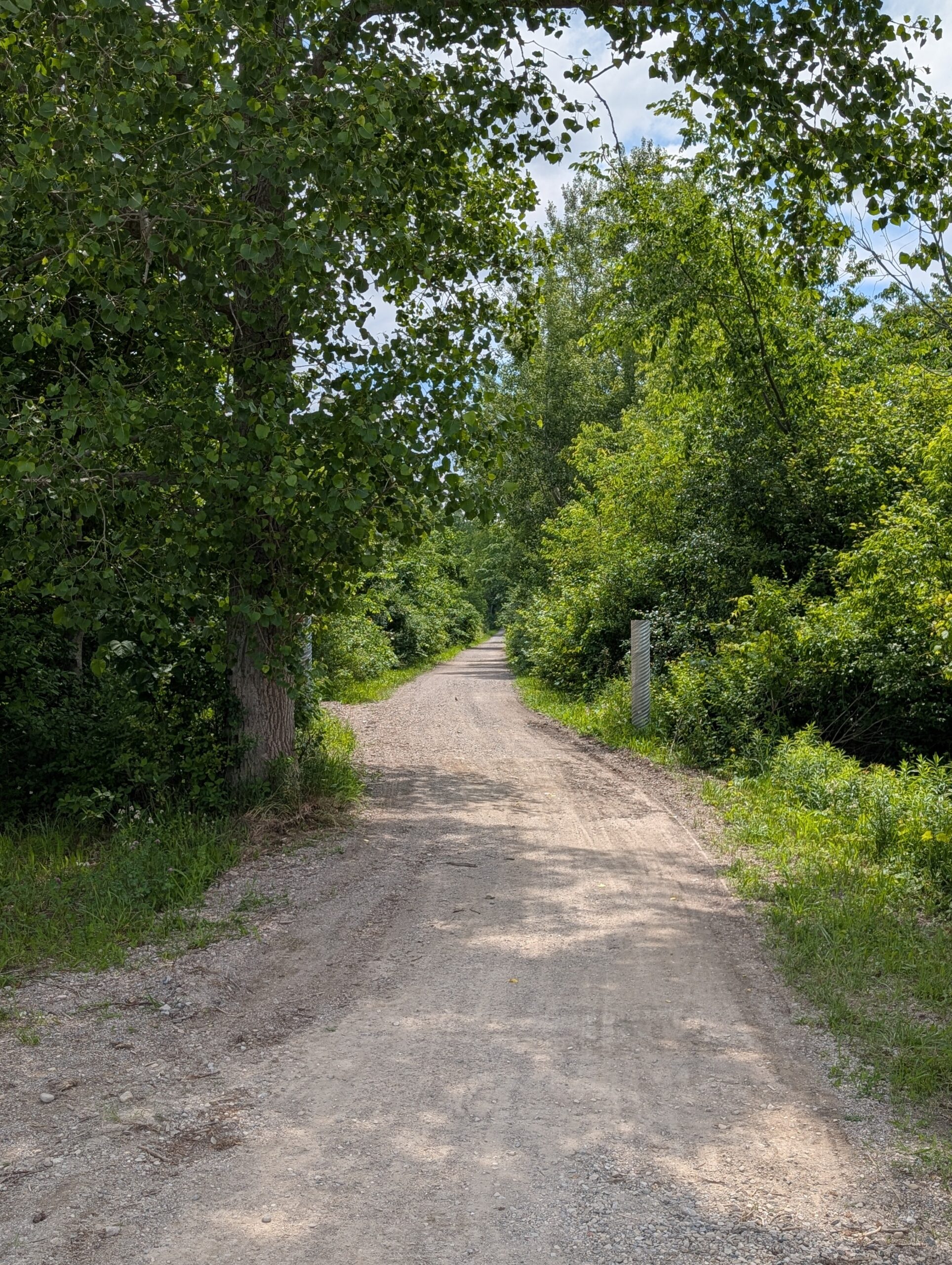 PXL_20260622_154133225